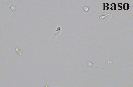 ���ӻ��w�z�yԇ���У��͝B��Û����