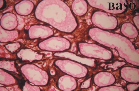 �����yȾɫҺ