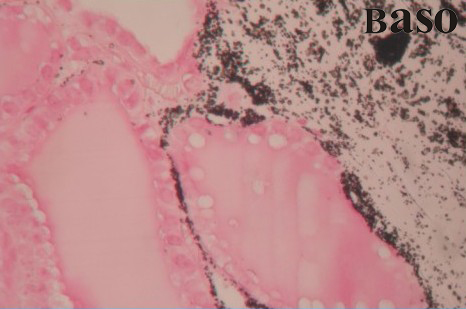 �}�}ȾɫҺ�������y����