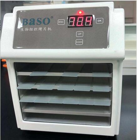 ��Ƭ̎��x����Ƭ�C��